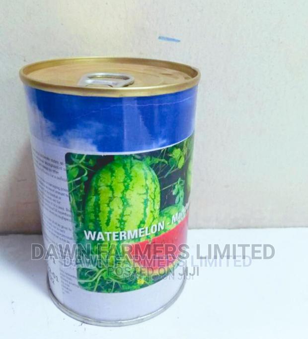 Watermelon Maridandi F1 100gms - thumbnail 3