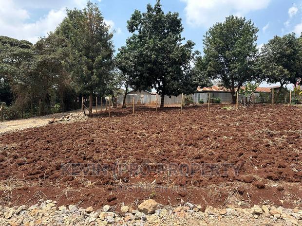 Prime Commercial Plot for Sale in Kinoo, Muthiga - thumbnail 7
