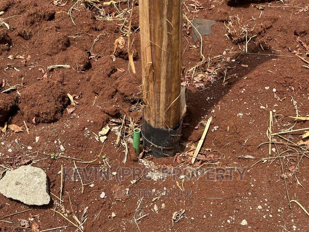 Prime Commercial Plot for Sale in Kinoo, Muthiga - thumbnail 9