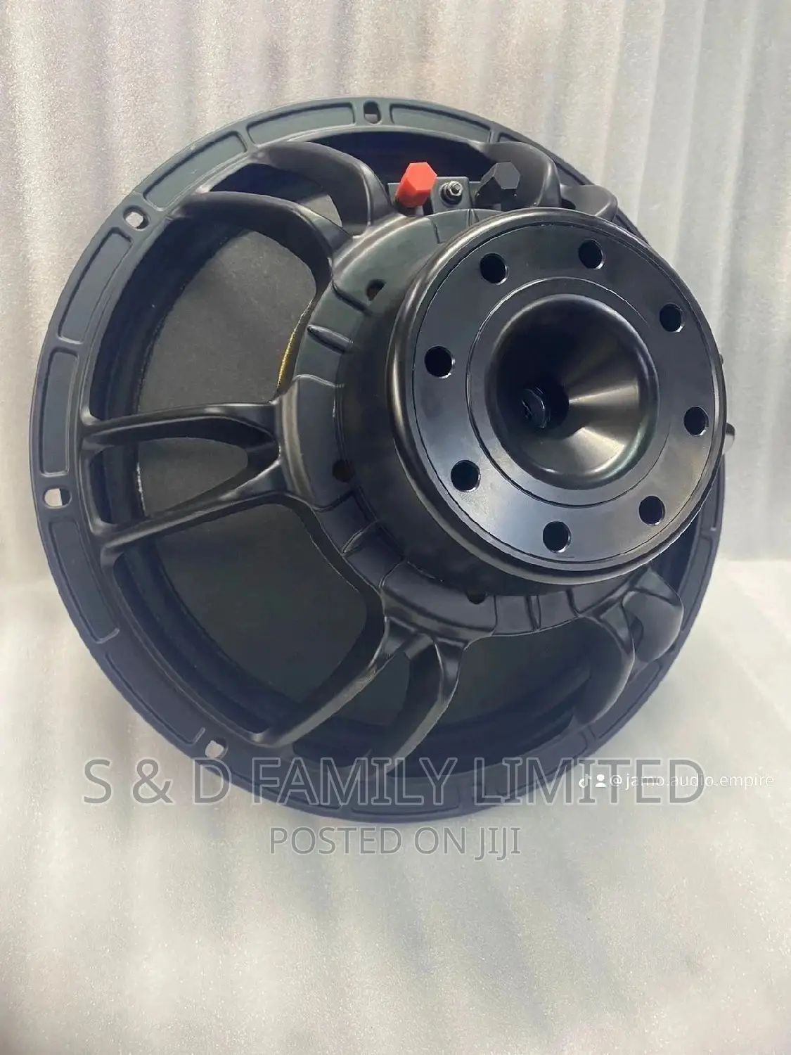 Neodymium Speaker 8 Inch Naked