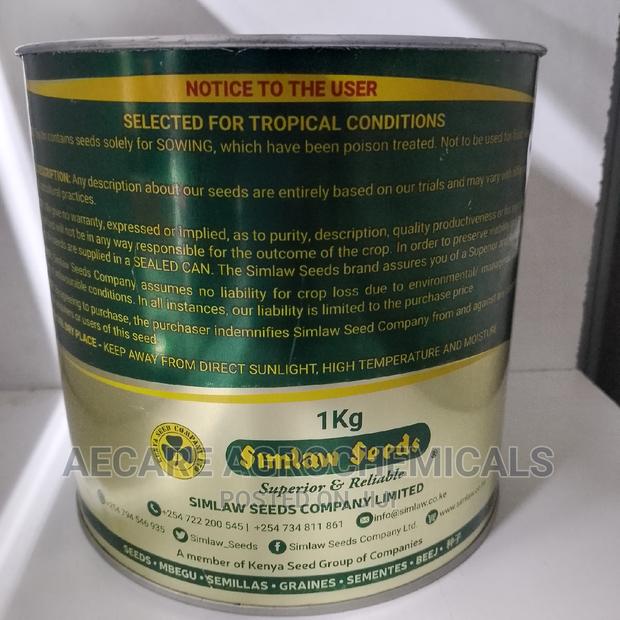 Katambora Rhodes Grass 1kg - thumbnail 4