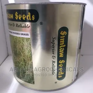 Katambora Rhodes Grass 1kg