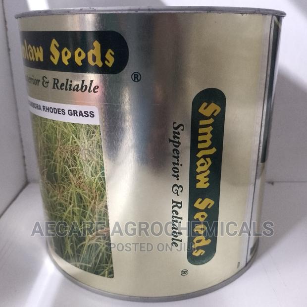 Katambora Rhodes Grass 1kg - thumbnail 2