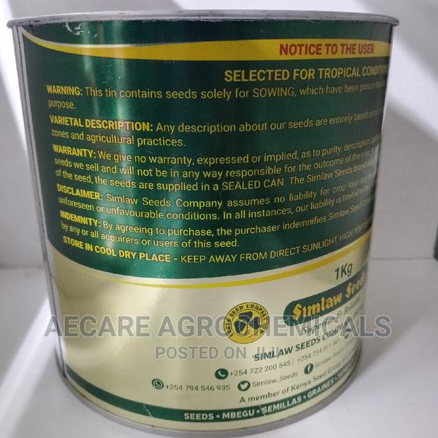 Katambora Rhodes Grass 1kg - thumbnail 3