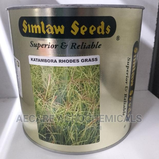 Katambora Rhodes Grass 1kg - thumbnail 6