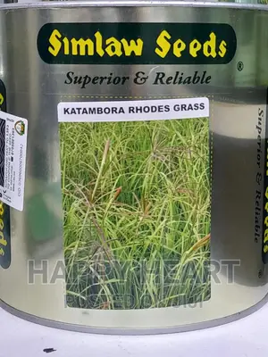 Katambora Rhodes Grass 1kg
