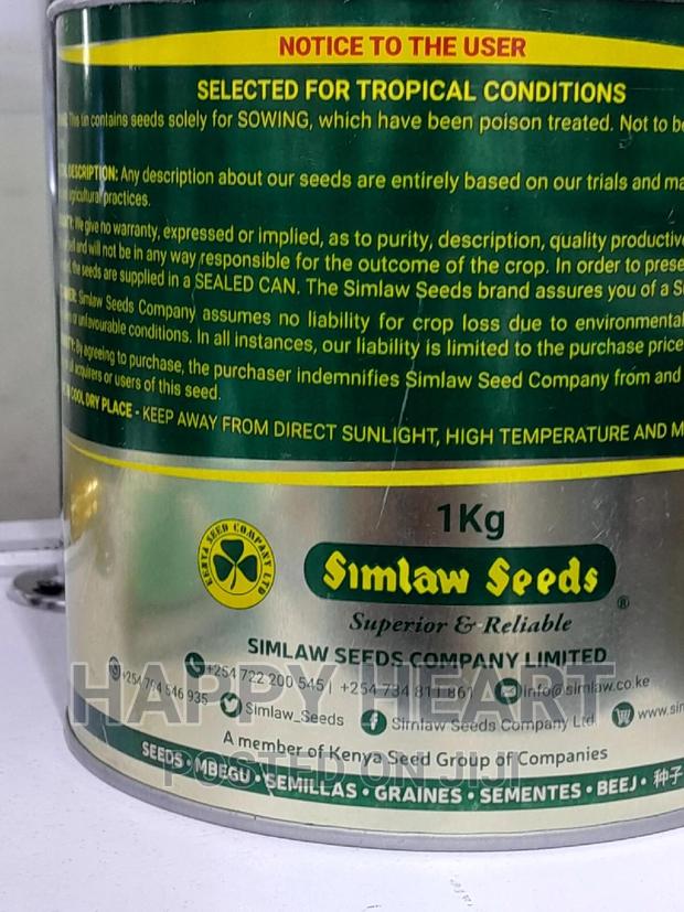 Katambora Rhodes Grass 1kg - thumbnail 4