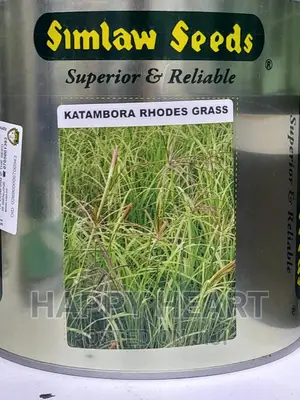 Katambora Rhodes Grass 1kg