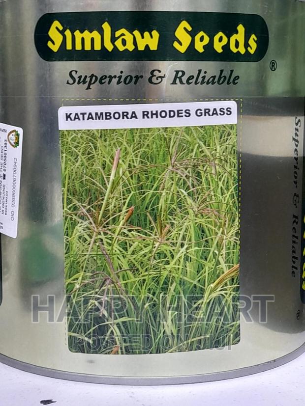 Katambora Rhodes Grass 1kg - thumbnail 2