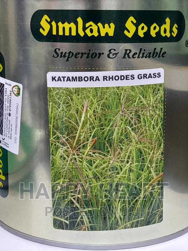 Katambora Rhodes Grass 1kg - thumbnail 6