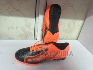 New Sport Trainers