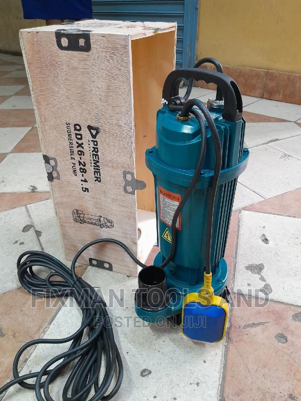 Premier Sewage Pump 2hp 28 M Head - main view