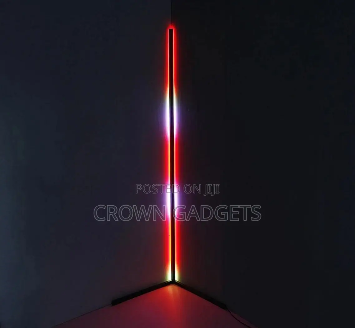 Modern Floor Lamp With Adjustable Height/ Brightness