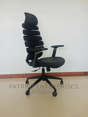 Imported Morden Ergonomic Office Chair