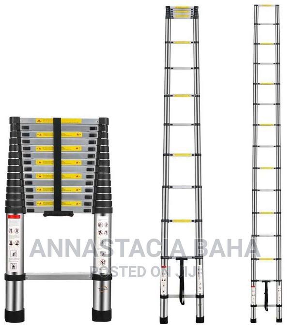 Telescopic Ladder 4.4m - main view