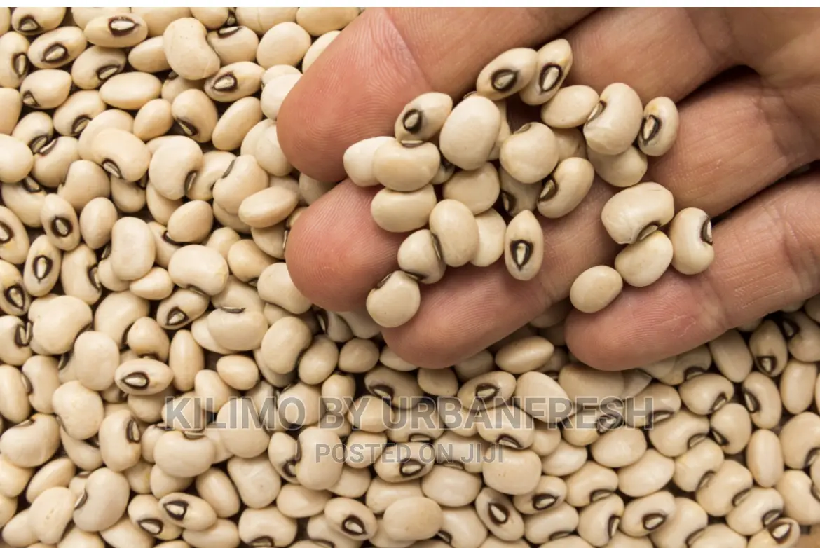 Cow Peas Planting Seeds Moq 5