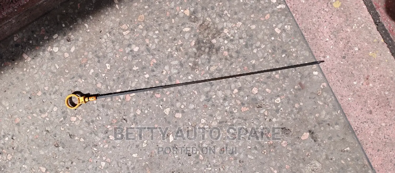 Mazda Demio Deep Stake (Zj)