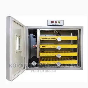 Solar AC/DC 300 Eggs Incubator