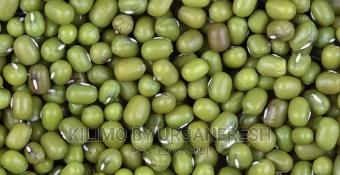 Greengram Planting Seeds Moq 5kgs