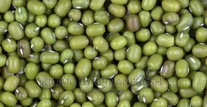 Greengram Planting Seeds Moq 5kgs