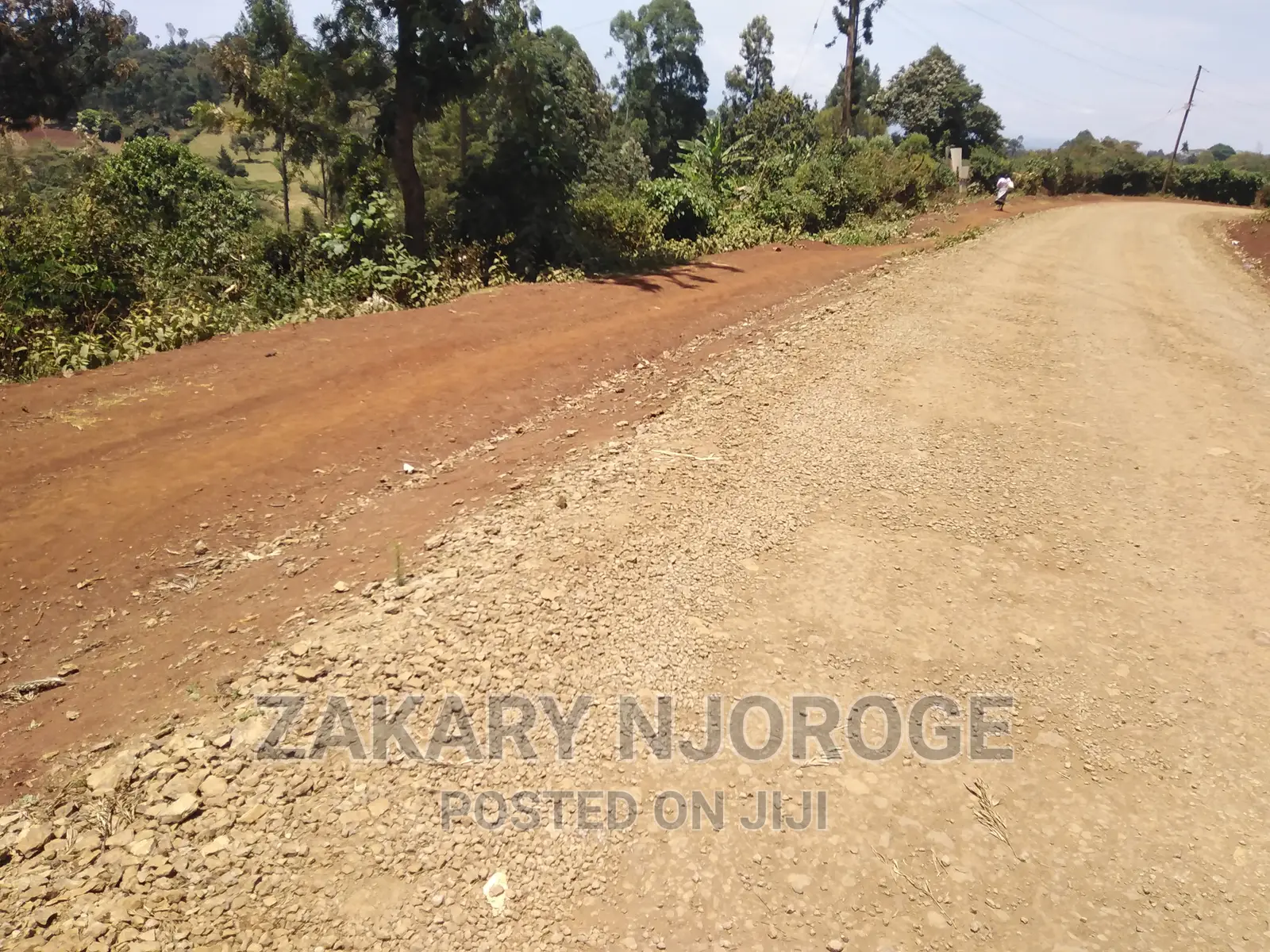 Two-50*100 Plots for Sale in Giakanja