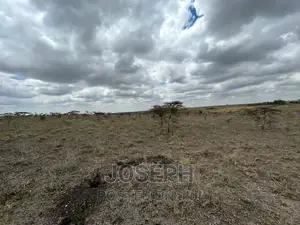 Kiserian Olooloitikosh 8.9acres