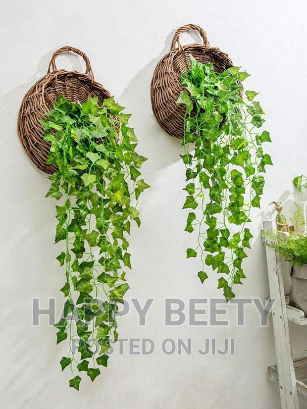 *Hanging Vines With Basket - thumbnail 4