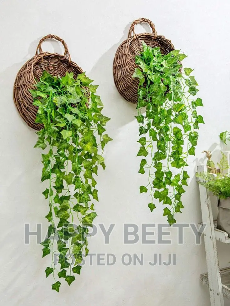 *Hanging Vines With Basket