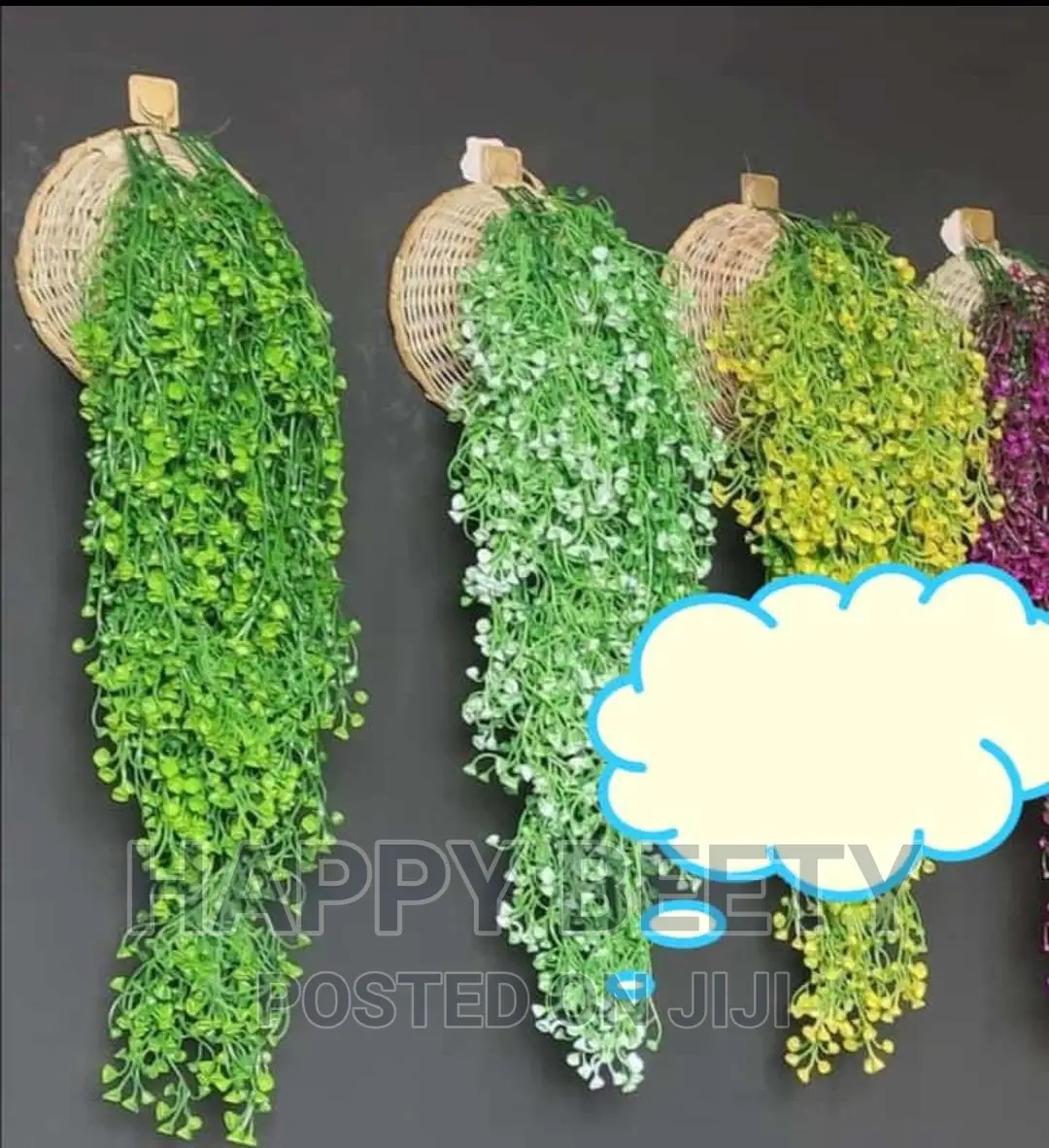 #Hanging Vines With Basket