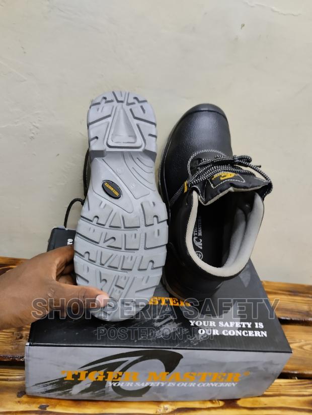 Tiger Master - main view