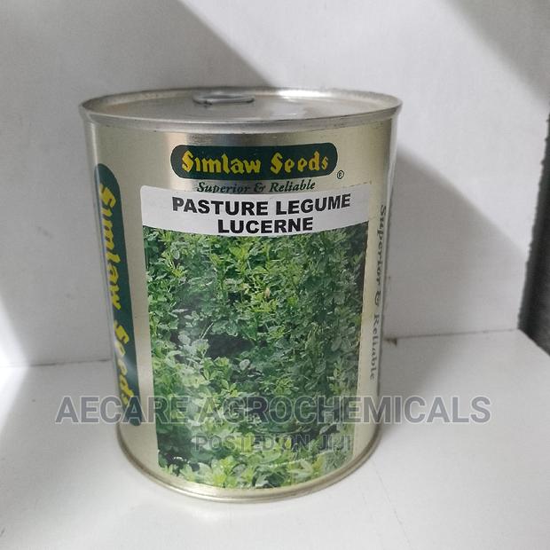 Pasture Legume Lucerne Seeds 250 Grams (Simlaw Seeds)