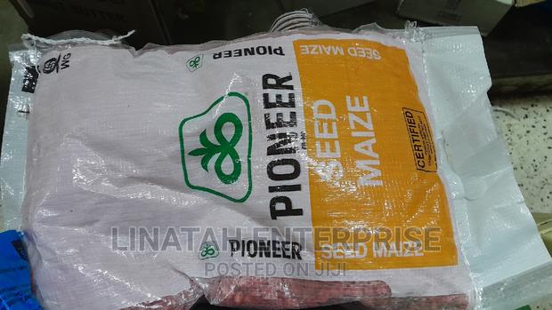 Pioneer Maize Seeds 2kg