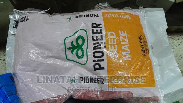 Pioneer Maize Seeds 2kg - thumbnail 2
