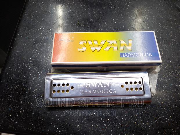 Swan Big Harmonica - main view
