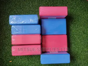 A Team Set of 8 Yoga Blocks Blue Red