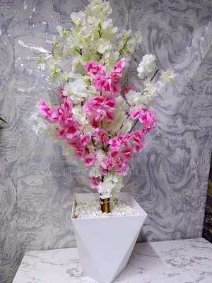 Luxurious White and Pink Cherry Blossom Plant