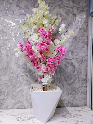 Luxurious White and Pink Cherry Blossom Plant