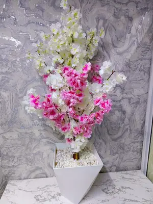 Luxurious White and Pink Cherry Blossom Plant