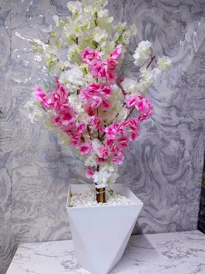 Luxurious White and Pink Cherry Blossom Plant
