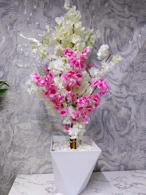 Luxurious White and Pink Cherry Blossom Plant