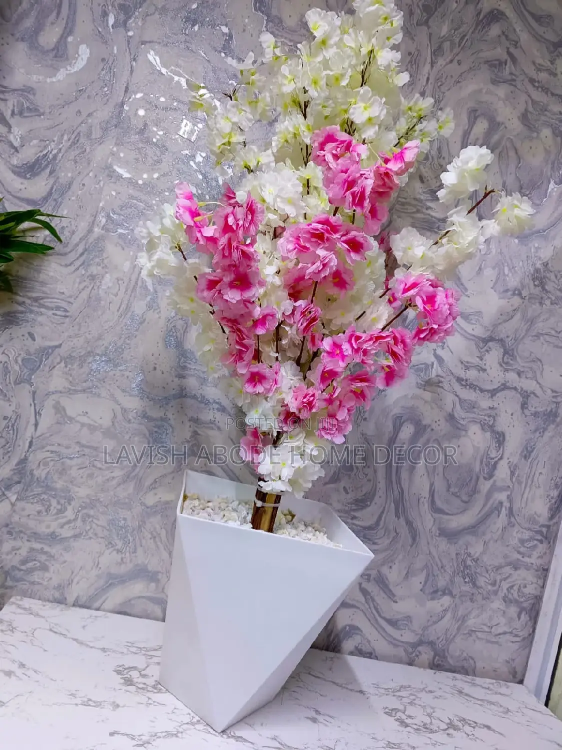 Luxurious White and Pink Cherry Blossom Plant