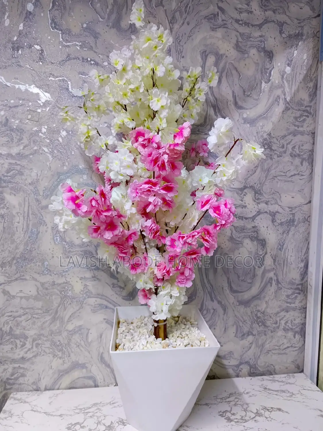 Luxurious White and Pink Cherry Blossom Plant