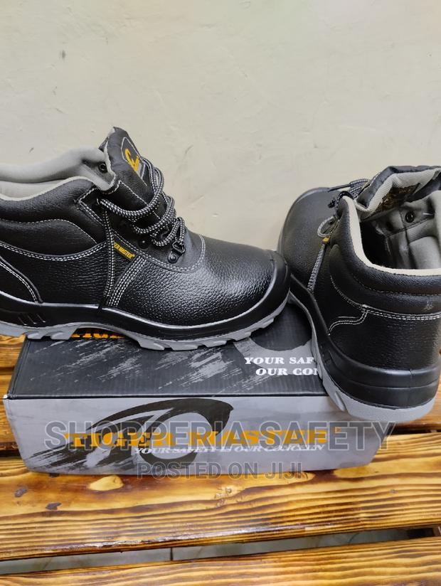 Tiger Master - main view