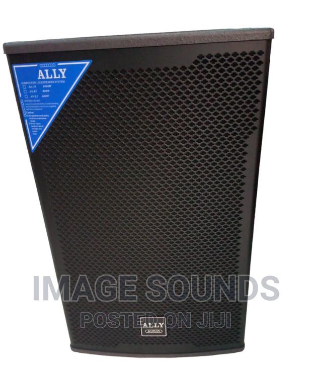 Ally Audio AL-15" Mid-Range Speakers - main view