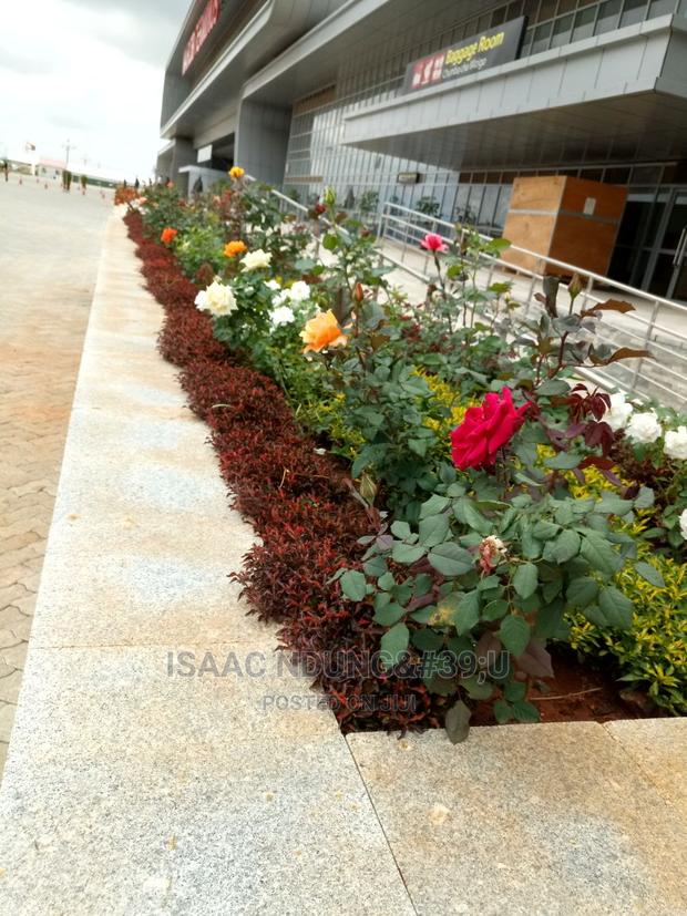 Rose Garden - thumbnail 5