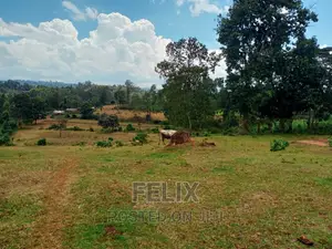 5 Acres Nyeri/Gitero