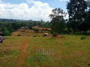 5 Acres Nyeri/Gitero