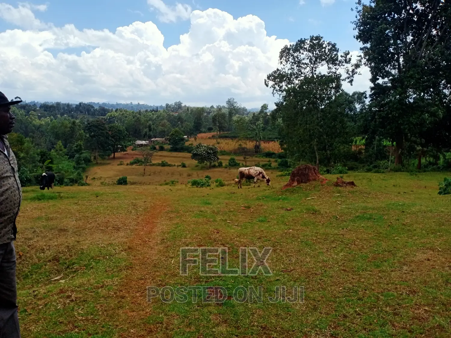 5 Acres Nyeri/Gitero