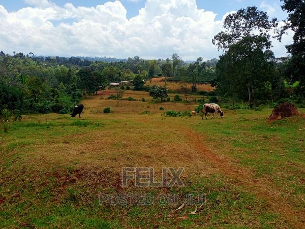 5 Acres Nyeri/Gitero - thumbnail 7