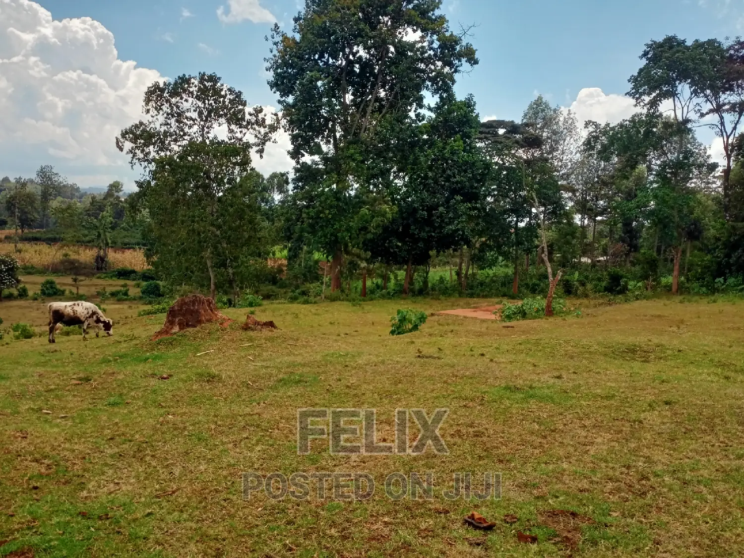5 Acres Nyeri/Gitero